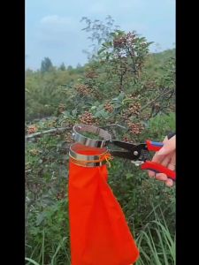 Gunting petik lada/Mesin Pemetik Zanthoxylum Bungeanum / Alat Wolfberry / Gunting Zanthoxylum Bungeanum / Pemetik Lada Zanthoxylum Bungeanum
