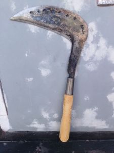 Am19 sabit arit pengaritan rumput baja isen super cpbintang (longok)