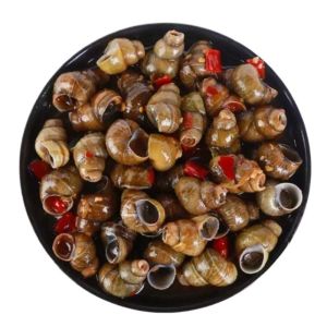 Spicy Snail Shells Ready to Eat Explosive Flavor Spicy Snack Perfect for Accompanying Alcohol Hunan Specialty Seafood Treat