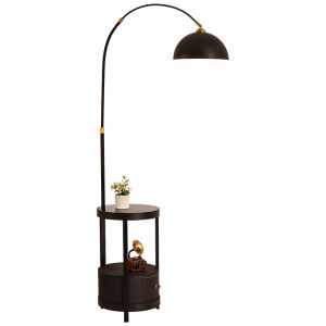 AOMAO | North European Style Luxury Floor Lamp