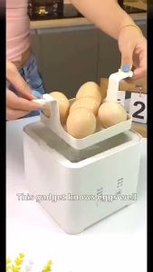 Card House's Multifunctional Egg Steamer: A Comprehensive Guide