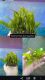 Rania AQUASCAPE