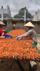 Khô cá lóc sợi ( phi lê) khô loại 1 chất lượng thơm ngon- VỰA KHÔ NÀNG TIÊN