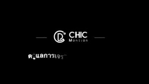 Wireless Car Washer 48V Lithium Single Battery Portable High Pressure Washer Clean Water Gun