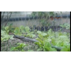 1 รูฉีดเทปน้ำพูด 36มม.x3/4นิ้ว 200 เมตร รูปร่างสายน้ำพูด ร่าง RainSpray RS-36/200 (568-01036200)