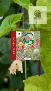 Good Green ยูเรียน้ำ 46-0-0 ไนโตรเจนสูง อินทรีย์ชีวภาพ ปุ๋ยน้ำ พืช ใบเขียว โตเร็ว