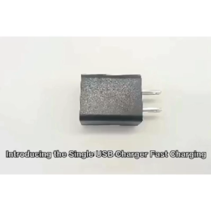 LGAO US AC DC Universal 5V 2A USB Power Adapter Supply Volt Power USB Charger