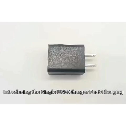LGAO US AC DC Universal 5V 2A USB Power Adapter Supply Volt Power USB Charger