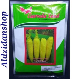 BENIH JAGUNG MANIS BARUNA 50 GRM. BENIH BIBIT JAGUNG UNGGUL