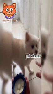 180pcs Pet Vitamin calcium tablet Supplement Dog Cat Multivitamin Probiotics Beauty Hair Bulu Bone Calcium