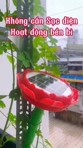 ✅Siêu Bền ✅ Máy Niệm Phật Năng Lượng Mặt Trời -Hàng Cao Cấp- Có sẵn 29 bài Niệm Phật - Lazada