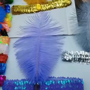 Headband Mahkota Kepala bulu Hiasan Rambut Hiasan Kepala Ikat Kepala bulu Headpiece Gatsby Feather Flapper