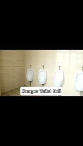 Kamper Toilet Ball / Bola Penghilang Bau Pengharum Sudut Ruangan WC Lemari Pakaian Laci Dapur