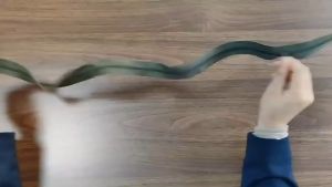 Resleting Pengganti Zipper Replacement Repair Kit 6 PCS