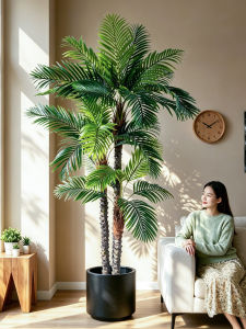 Indoor Sofa-side Large Artificial Plant