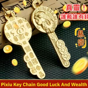 Pixiu Key Chain Good Luck And Wealth Open Vault Money Key Chain Pendant Keyfob Lanyard 招财 黄铜金库貔貅钥匙链