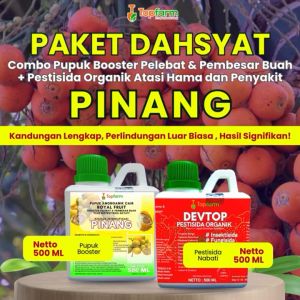 Pupuk & Pestisida Topfarm untuk Pinang: Solusi Optimal