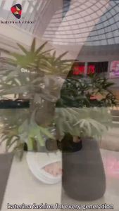 Katerina Fashion Korean Wedge Sandals For Women 405