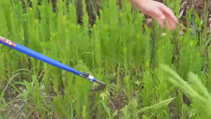 Agricultural Sickle Folding Sickle Mowing Knife Folding Sickle Spare Cutting Knife Garden Tool