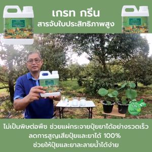 สารจับใบ เกรทกรีน เปียกใบอย่างรวดเร็ว เกาะติด ช่วยให้ปุ๋ย หรือตัวยา ถูกดูดซึมผ่านใบพืชได้ดีเยี่ยม