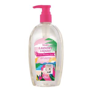 GIFFARINE | Dopamine Aromatic Antibacterial Underwear Laundry Detergent 300ml