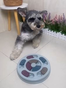 Đồ chơi giấu đồ ăn luyện ăn chậm trí thông minh cho chó mèo (dạng phẳng) puzzle - Đen Ta pet shop