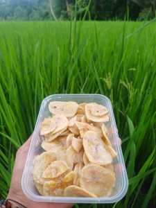 KERIPIK PISANG LUMER RASA TIRAMISU BOX 500ML