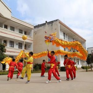 BSKT | Dragon Head Performance Prop for Children
