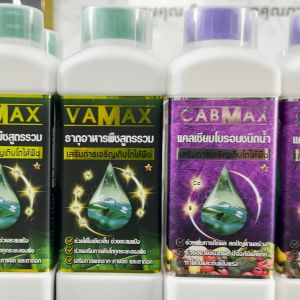 1 แถม 1 (ปุ๋ยธาตุรวม VAMAX + CABMAX แคลเซียมโบรอน) ผลดก บำรุงผลผลิต