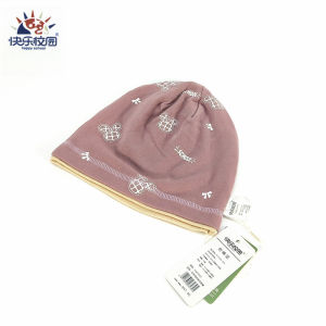 Happy School Princess Style Knitted Hat for Girls Spring Autumn Thin Head Cover Cool Street Style Knit Cap Cotton High Top