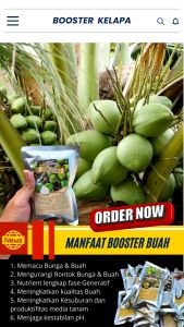 Booster Tanaman Kelapa / Pupuk Booster Hayati Khusus Tanaman Kelapa