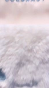 RANSEL DOUGHNUT X CINNAMOROLL (LIMITED EDT)