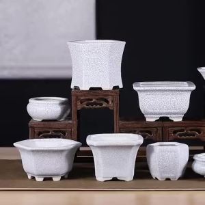 Chậu Hoa Hình Vuông Nhiều Thịt Chậu Gốm Sứ Tráng Men Đề Can Tranh Phong Cảnh Lục Giác Màu Tím Chậu Cây Cảnh Bàn Văn Phòng