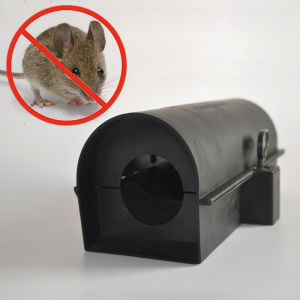 Plastic Mouse Locking Bait Station Rat Rodent Control Trap with Key