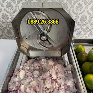 MÁY THÁI LÁT HÀNH PHI  TỎI PHI  TỎI NGÂM GIẤM