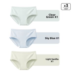Briars | Antibacterial Full Coverage Long Crotch Briefs