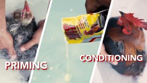 Zero Mite 6 gói - Xà bông tắm gà giúp lông bóng mượt diệt mạt ve rận - Nhập khẩu Phillipine