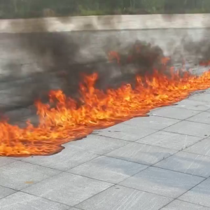 Bình chữa cháy ô tô Sharpots dung tích 600ml bình cứu hỏa mini dùng trong trường hợp khẩn cấp