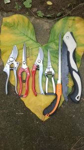 (FREESHIP) Combo Dụng Cụ Làm Vườn Cây Cảnh Bonsai SK5 (Kéo Cắt Cành Tỉa Cành Cưa Lách Cưa Gập Cầm Tay) - Dụng Cụ Nông Nghiệp GD Smart