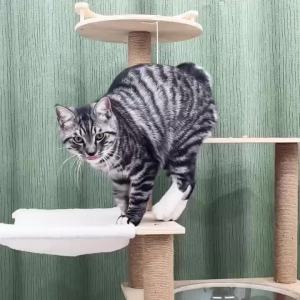 Cat Tree Tower Scratch Post Cat Condo Cat Tree Climbing Cat Tower Cat Scratch Post Cat Tree Tower Cat Condo Solid Wood Large Cat Climbing Frame Four Seasons Universal Integrated Space Capsule Sisal Cat Scratch Board Toy