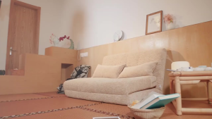 SOFTHOME Tatami Lazy Sofa Bedroom Foldable Multifunctional Small Apartmentsofa Bed Dual Purpse