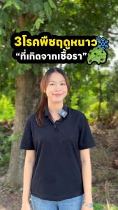 วัคซีนพืชสูตรไคโตซานเข้มข้น 10 ซอง  โรคพืช กำจัดเชื้อรา โรคพริก วัคซีนพริก โรคกุ้งแห้งพริก กำจัดเชื้อราชีวภาพ ไคโตซานพืช ยาโรคแอนแทรคโนส  ยาโรคราน้ำค้าง แก้โรคเน่าคอดิน แก้โรคราแป้ง