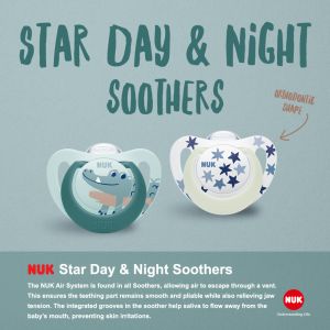 NUK Silicone Soother- Disney/ Sensitive/ Signature Day/ Signature Night/ Star Day & Night BPA FREE | BROTHER BEAR®
