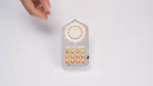 Hymn Audio Speaker Night Light Arabic Quran Audio Player With 140 Scriptures UK Plug