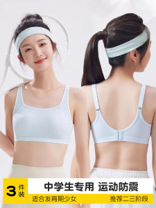 Áo Ngực Lụa Băng Mùa Hè Mỏng Dành Cho Nữ Sinh Trung Học Cơ Sở Và Trung Học Phổ Thông Áo Ngực Thể Thao Áo Vest Đồ Lót Thoải Mái
