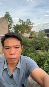 MÁY CÂU CÁ ĐỨNG YOLO BF TAY QUAY ĐỘ CÂU CÁ KHỦNG