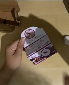 KAPSUL DAUN UNGU ISI 50 KAPSUL OBAT WASIR / AMBEIEN original