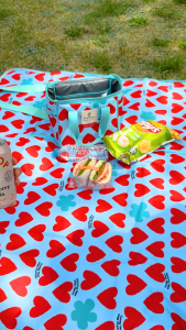 Playjoy Picnic Bag