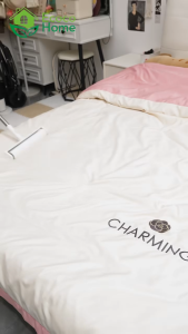 Cây lăn bụi Ecoco làm sạch quần áo  ga giường  thảm  sofa ...hàng chính hãng