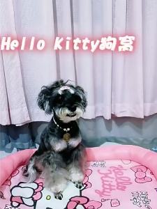 hipidog | All Seasons Cool Latex Pet Pad Waterproof Cooling